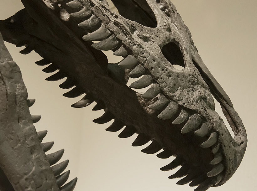 The Paleon Dinosaur Museum in Glenrock